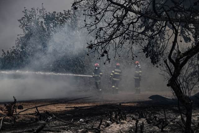 Firefighters tackle blazes  between the villages of Kiotari and Gennadi on the Greek island of Rhodes (Photo: Getty Images)