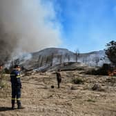 Wildfires have ripped through the countryside of Greek islands - but have Kefalonia or Zante been affected? (Credit: AFP via Getty Images)