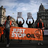 Police say a 13-week campaign by Just Stop Oil has cost them more than £7.7 million (Photo by DANIEL LEAL/AFP via Getty Images)