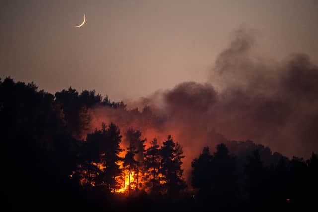 Gran Canaria has been affected by wildfires - Credit: Getty