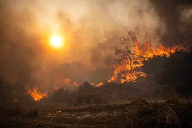 A fire as it burns vegetation into the village of Gennadi on the Greek Aegean island of Rhodes (Photo: Getty Images)