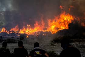 Over 10 countries have been ravaged by deadly wildfires this summer. (Photo: AFP via Getty Images) 