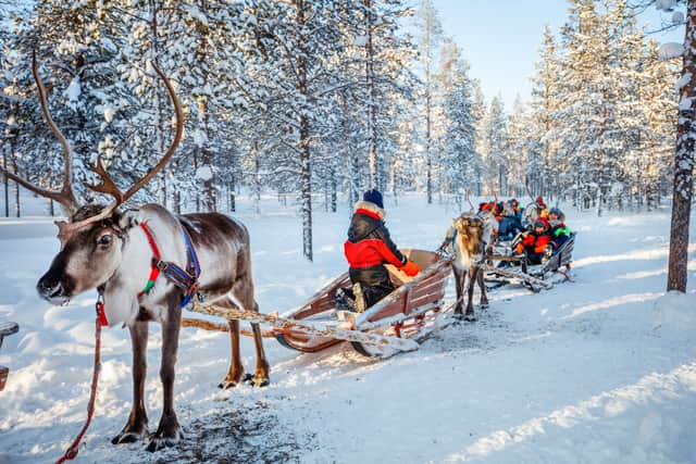 Families can enjoy sleigh rides with real-life reindeer and husky sledding (Photo: Adobe)