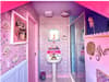 'Colour for me is happiness and joy': Couple transform their home into pink paradise  that Barbie would love
