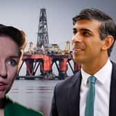 Green Party co-leader Carla Denyer is among those levelling criticism at Sunak over his North Sea oil and gas announcement (Image: NationalWorld/Getty/PA Wire)