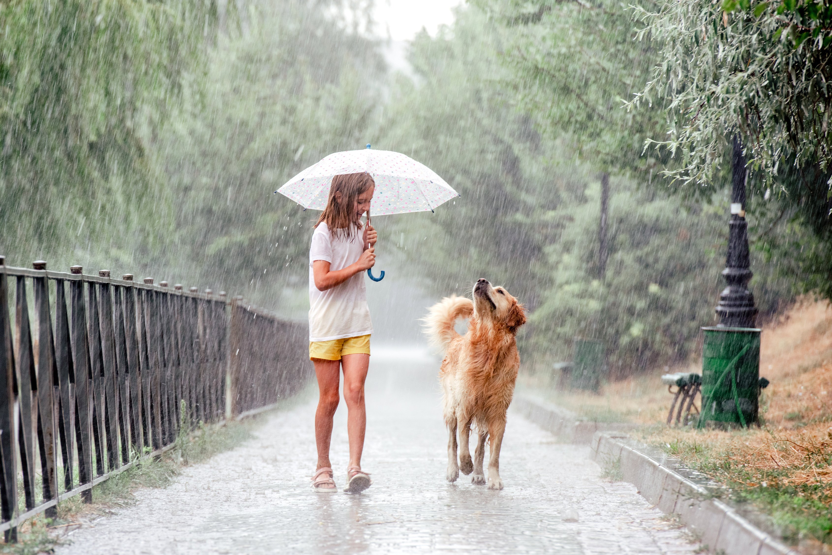 Why is it raining so much? Met Office explain UK weather