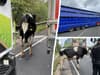 PICTURED: Cows on M6 cause chaos as drivers left in 3-mile long traffic jam
