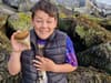 Boy 'over the moon' to find Megalodon shark tooth on Essex coast up to 20 million years old