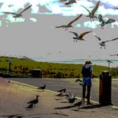 We might get a bit miffed when gulls swoop in and steal our chips, but it's better than a seaside without them (NationalWorld/Adobe Stock)