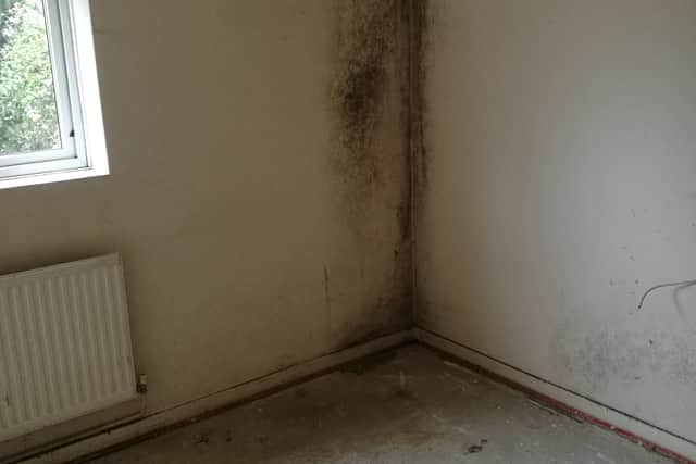 Single and on benefits, Gemma says the “last straw” was when she was shown a mould-infested rental flat. 