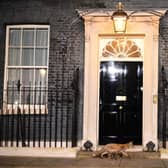 A fox trots past Number 10 Downing Street in Central London (Photo by DANIEL LEAL/AFP via Getty Images)