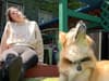 WATCH: Amazing moment woman and dog share stunned bewilderment at plummeting bird