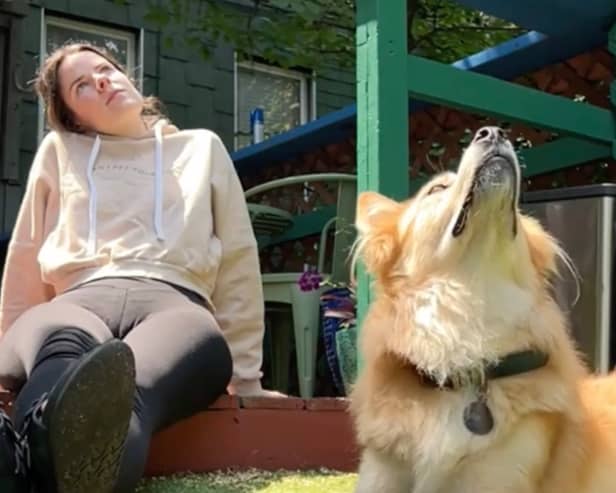 The moment a woman and her pet dog both witnessed a bird 'drop dead' - and both reacted in exactly the same way (Photo: xIsabelKlee)