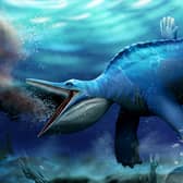 Reconstruction of Hupehsuchus about to engulf a shoal of shrimps. Whale-like filter feeding has been discovered in prehistoric marine reptile. 