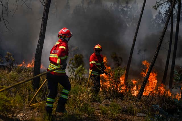 Hundreds of fire personnel have been attending wildfires in Portugal since the weekend - Credit: BBC