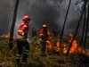 Where are the wildfires in Portugal? European tourist destination latest to be hit as evacuations take place