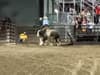 Rodeo bull: Video of moment bull escapes Utah rodeo and injures politician's family after charging scarecrow