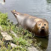 A seal has been spotted sunbathing by a freshwater lake after making its way 30 miles inland from the coast