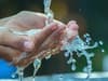 Water providers could owe £800m in compensation to bill payers for ‘unfairly overcharging customers’