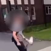 Derbyshire Police have arrested a boy in relation to a social media video, which appears to show a pigeon being harmed.
