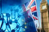 UK rejoins £85bn EU Horizon science research programme after Brexit row