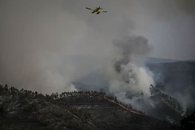 Wildfires in Portugal this week (Photo by PATRICIA DE MELO MOREIRA/AFP via Getty Images)