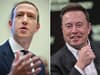 Is Elon Musk vs Mark Zuckerberg fight still happening? Meta CEO and X owner comment on fate of cage match