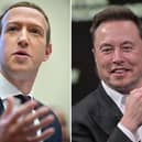 The Mark Zuckerberg, Elon Musk fight might not be happening after all