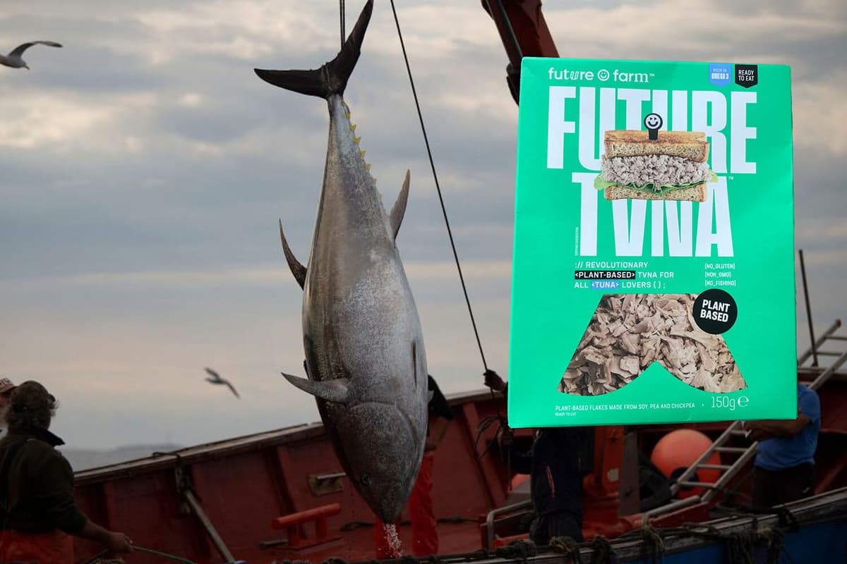 Tuna Fish Box How does vegan tuna stack up to the real thing?
