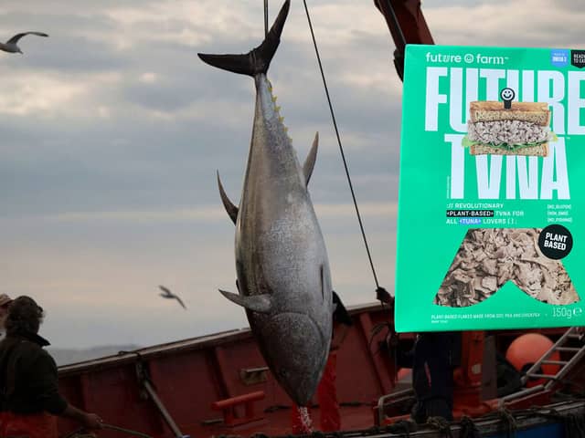 How does Future Farm's vegan 'future tuna' compare to the real thing? (Image: NationalWorld/Amber Allott/Getty Images)