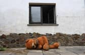 A big muddy teddy bear lies on the floor in front of a house (Image:  CHRISTOF STACHE/AFP via Getty Images)