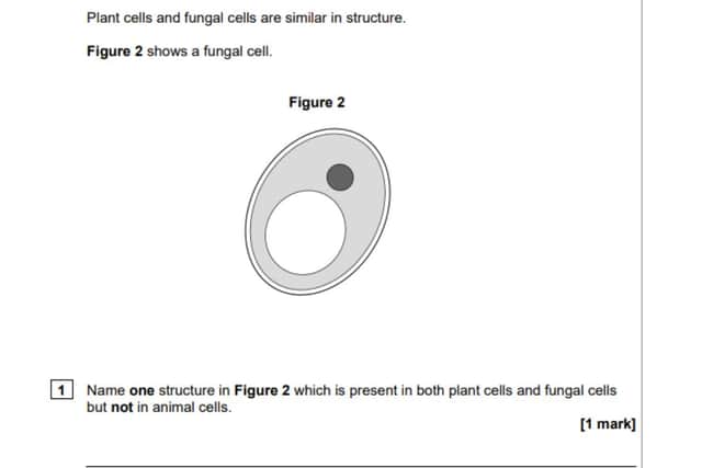 A GCSE Biology question