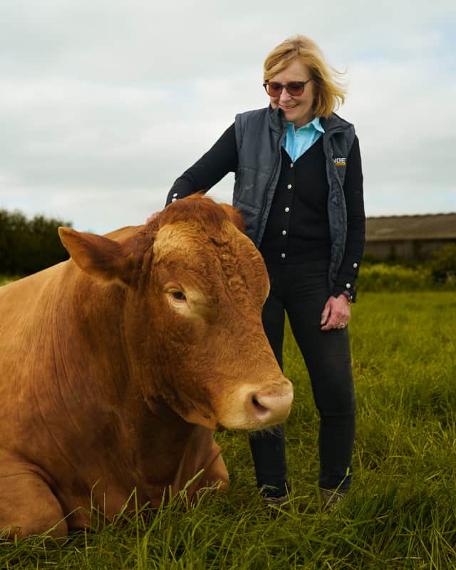 Liz Webster with one of her cows. 