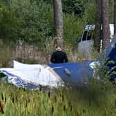 A law enforcement officer works at the site of the plane crash near the village of Kuzhenkino, Tver region, on August 24.