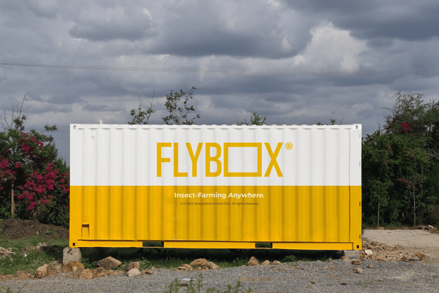 The Flybox team hope to make insect farming a convenient, easy protein source anywhere in the world (Flybox/Supplied)