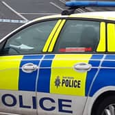 The mother twice spat on the headrest of a police car, which cost £120 to clean
