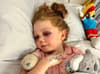 Schoolgirl age 8 suffered brain injury and 15 broken bones after being knocked over by zorbing ball