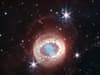 James Webb Space Telescope reveals new details of famous supernova