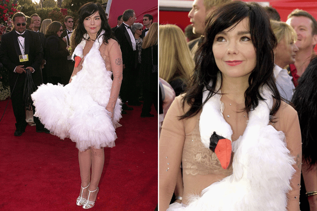 'That' Swan dress as worn by Bjork is one of the items on show at the Design Museum's "Rebel" exhibition (Credit: Getty)