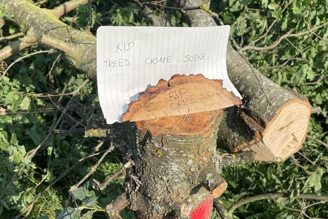 A sign left by young visitor to the site the day after the felling (Photo: Joel Taylor/CPRE London)