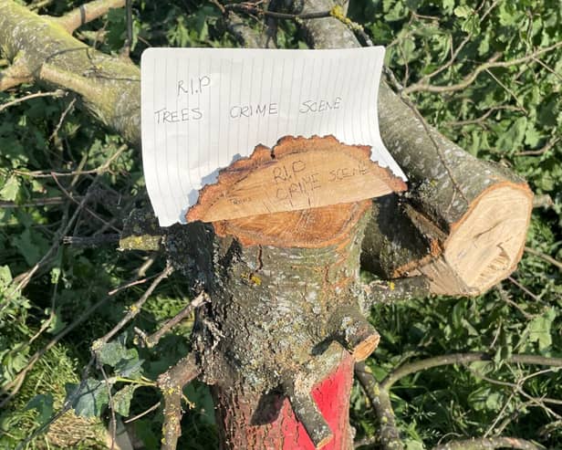 A sign left by young visitor to the site the day after the felling (Photo: Joel Taylor/CPRE London)