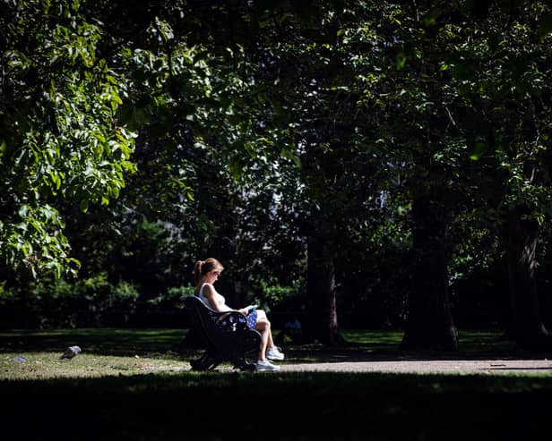 A woman reads a book on a bench in Green Park in central London on September 5, 2023 as the country experiences a late heatwave.
