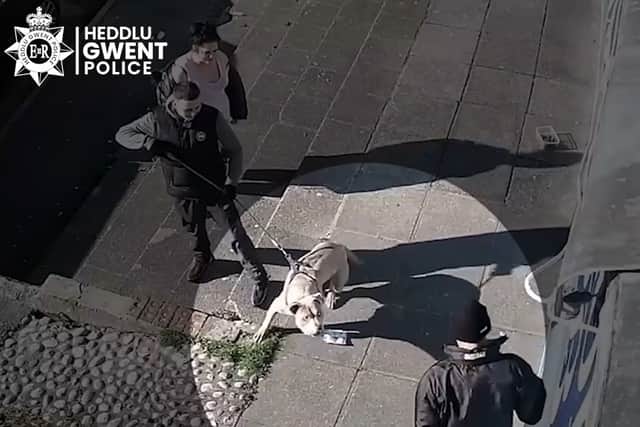 CCTV still of Beast, an XL bully who went on to kill 10-year-old Jack Lis, barking at a man outside a store in Caerphilly (Photo: PA Wire/Gwent Police)