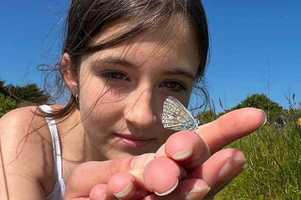 The common blue is one butterfly species which saw numbers drop in this year's Big Butterfly Count (Butterfly Conservation/PA Wire)