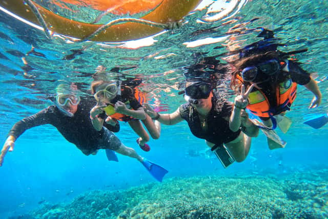Dennis, Sheila, Oz, and Lola swim in a coral reef.