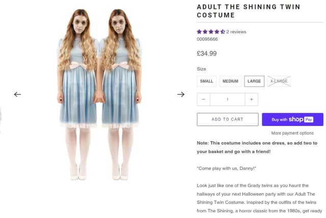 The Shining Twin Costume (fancydress.com)
