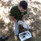 Entomologist Connor Butler leads the hunt for some dung beetles (Photo: Amber Allott/NationalWorld)