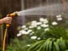 South West Water hosepipe ban: restrictions to be lifted in Cornwall and Devon from next week - after more than a year