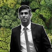 Rishi Sunak is reportedly set to soften some of the UK government's net zero targets (NationalWorld/Getty/Adobe Stock)