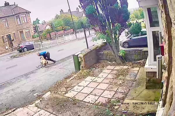 The man is dragged into the road as he tries to fight off an attacking dog in Handsworth Road, Sheffield.